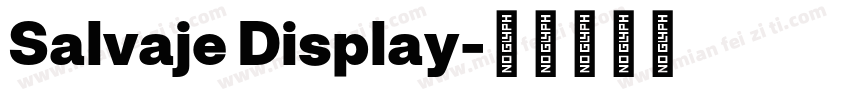 Salvaje Display字体转换